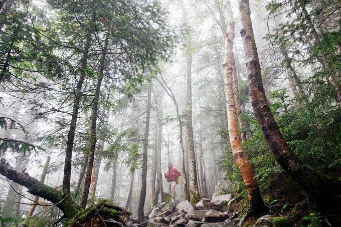 8 Days Trekking Adventure in Bhutan