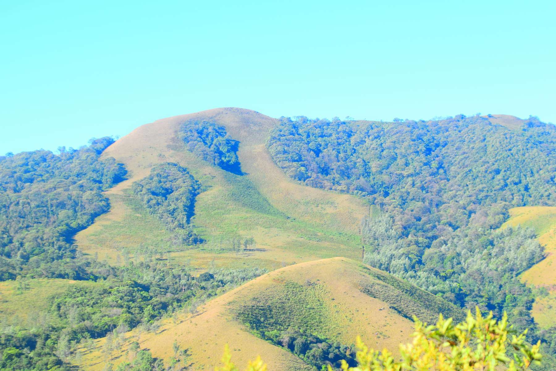 Offroad Jeep Safari To Mullayanagiri Image