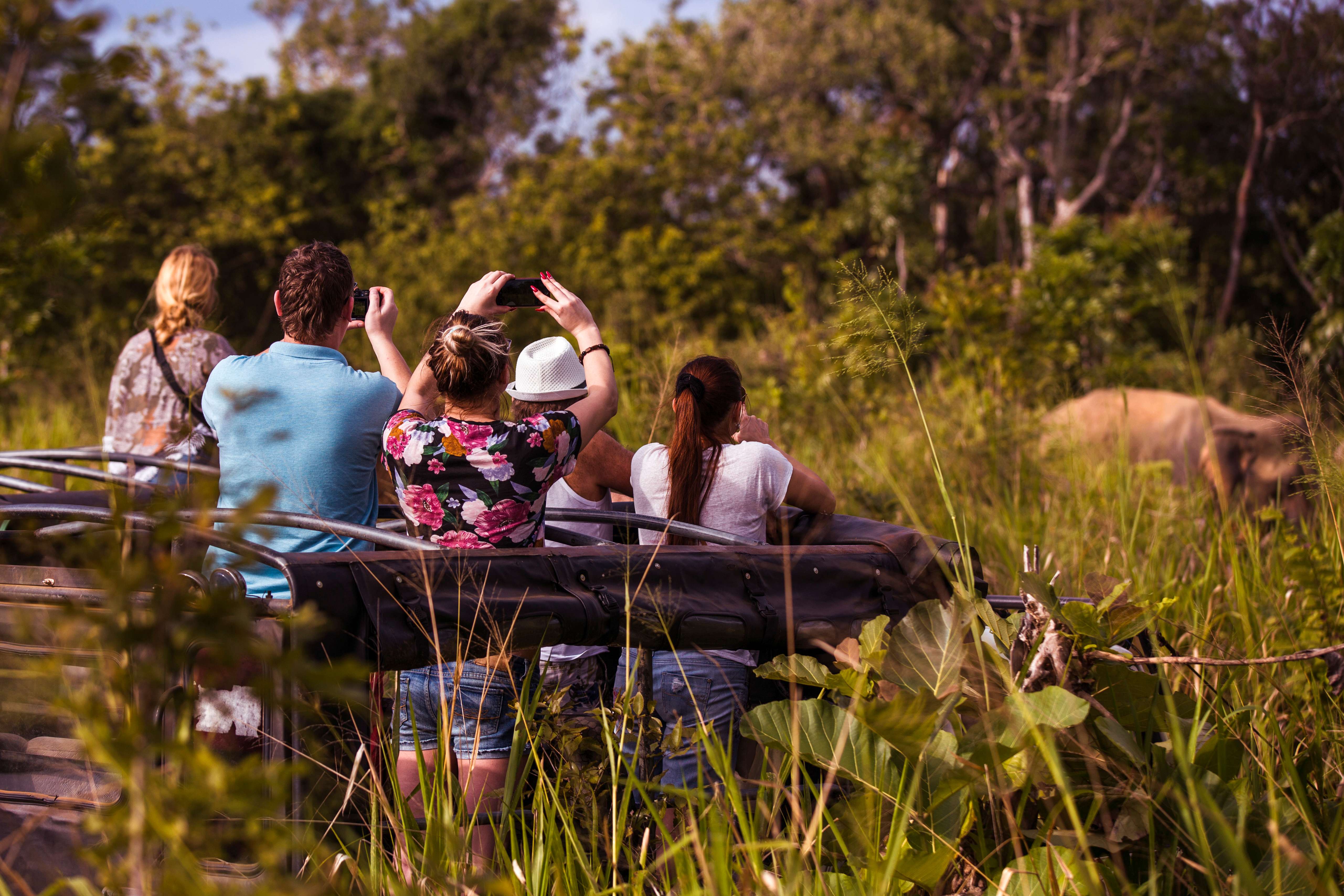 Minneriya National Park Jeep Safari