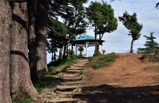 Dhanaulti and Mussoorie Tour from Delhi Image