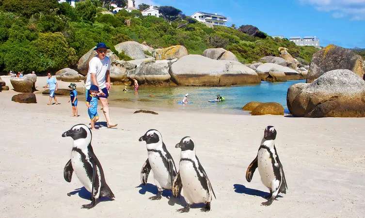 6 Days South Africa Honeymoon Package Image