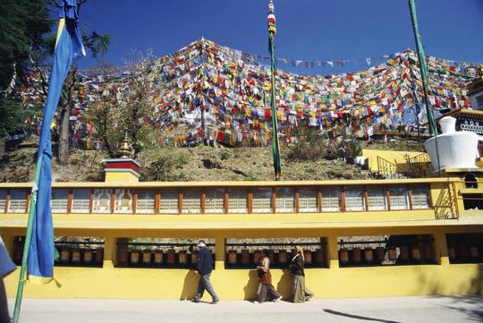 Dharamshala & Mcleodganj Sightseeing Tour Image