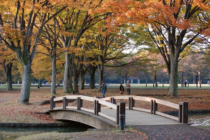 Yoyogi Park