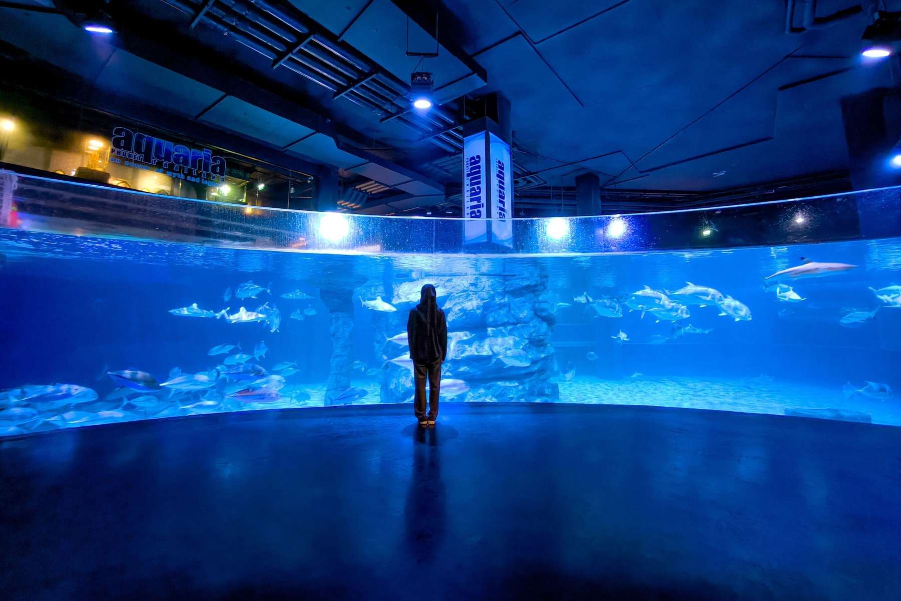 Aquaria Phuket Tickets Image