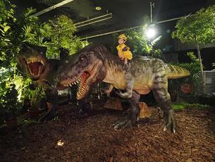 Dinoland Tickets, Singapore