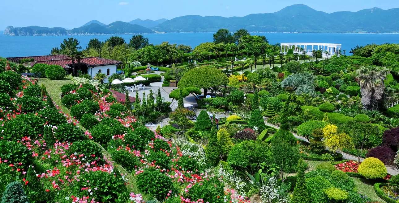 Special Oedo Island Day Tour from Busan Image