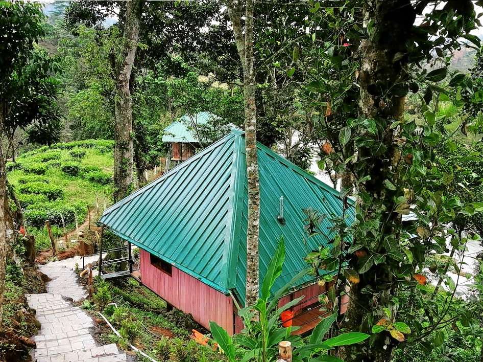Tree House Stay in Thekkady Image