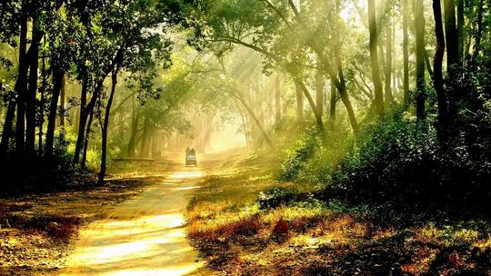 Serenity Corbett Resort Image