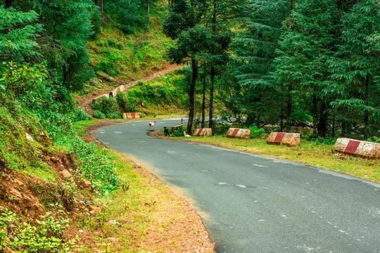 Nainital and Ranikhet Tour from Delhi Image