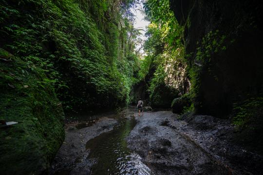Tukad Cepung Waterfall Tour Image