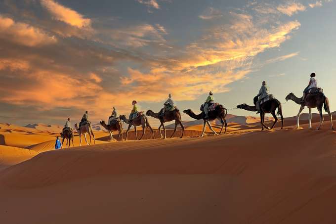 Experience a scenic camel ride in the heart of Ras Al Khaimah