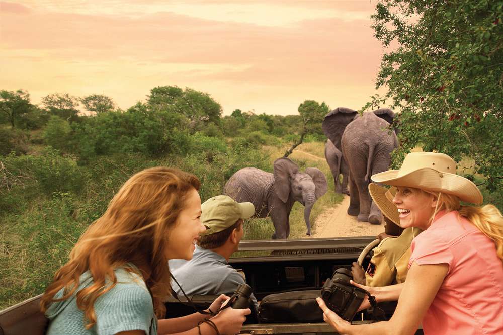 Enjoy thrilling Game Drive in Albertinia