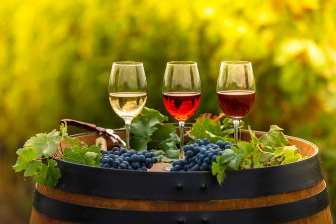 Go on Wine Tasting Tour in Mount Tamborine