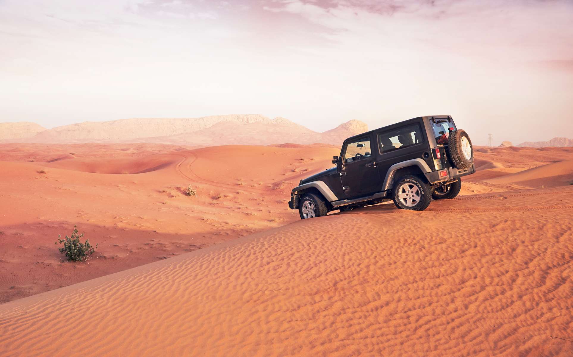Red Dune Desert Safari in Dubai Image