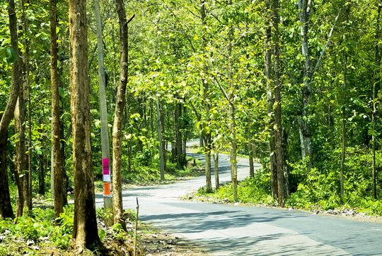 Gavi Tour Package Image