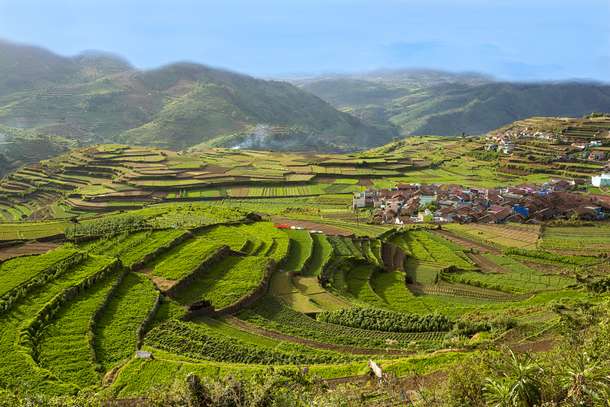 L3psonw1nc36qw9lf1xxqxdv9kza shutterstock 655818517