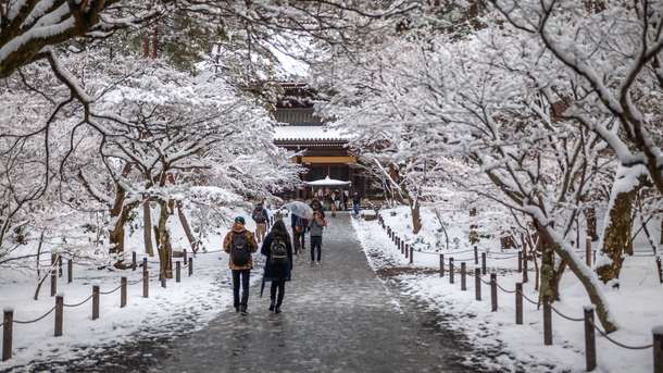 L4chyvezve771hxtcj7cx4nexrey shutterstock 1328749196