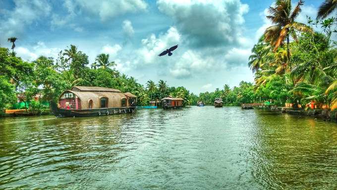 Serene Alleppey Backwaters, Alleppey