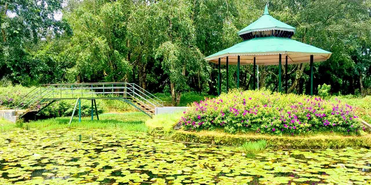 Plantation Sightseeing Tour In Munnar  Image