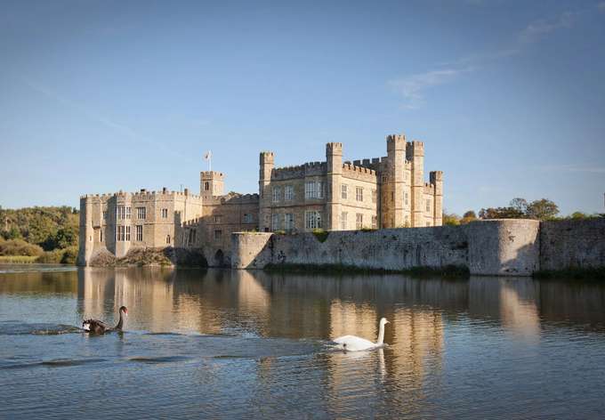 Lakeside view with swans and birds near castle