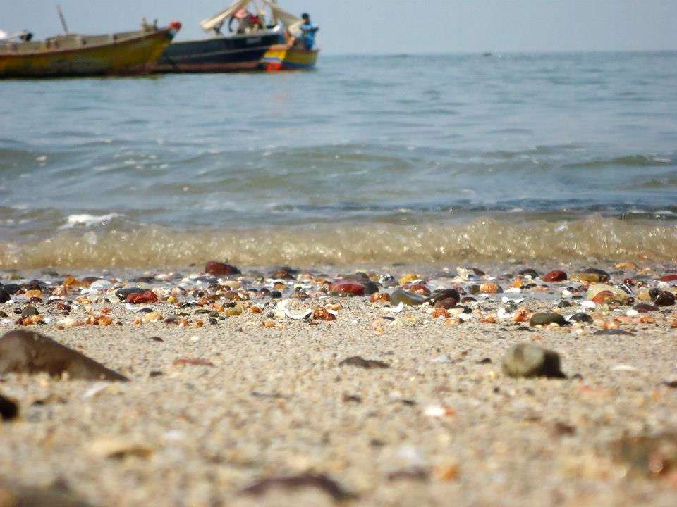 Kashid Beach Camping Image