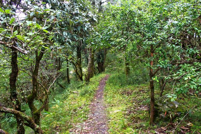 Jabarkhet Wildlife Reserve