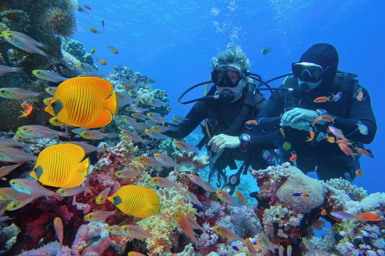 Go for 20 minutes of exciting scuba diving activity in clear waters