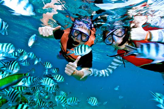Snorkeling in Andaman Image