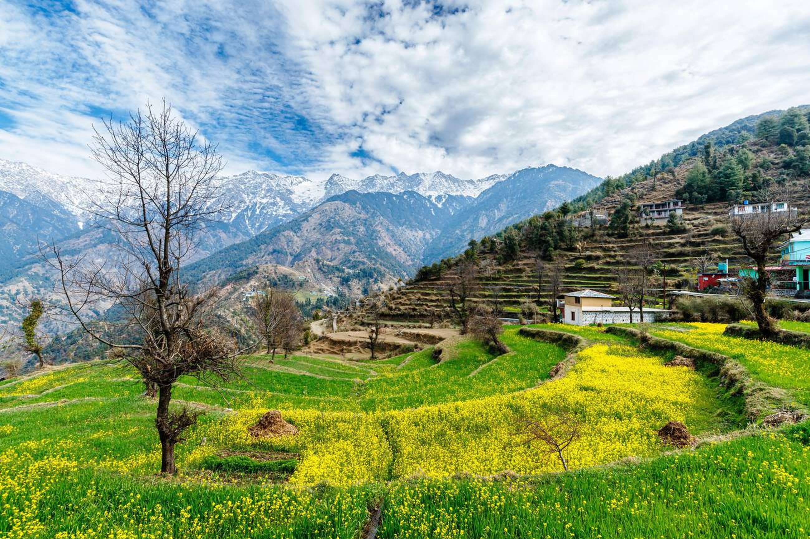 Gaze at sweeping Himalayan views while strolling through the peaceful trails of Naddi Village