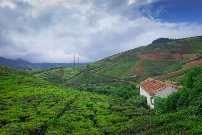 Explore Coorg well known as the mini Scotland of India