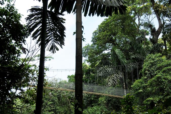 Místico Arenal Hanging Bridges