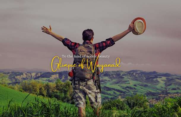 Lcdd6s4azjzslqipj6amvviyp8ld glimpse%20of