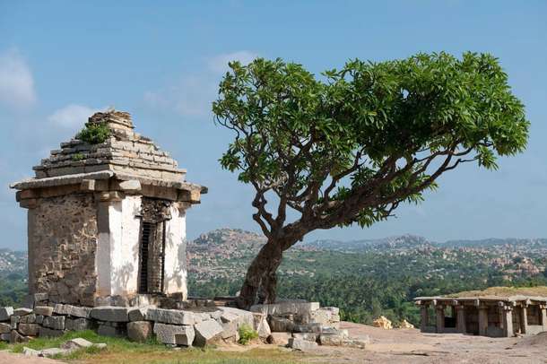 Ld3121a37ng88sextcqz8aomvt6j downpic.cc image594330746