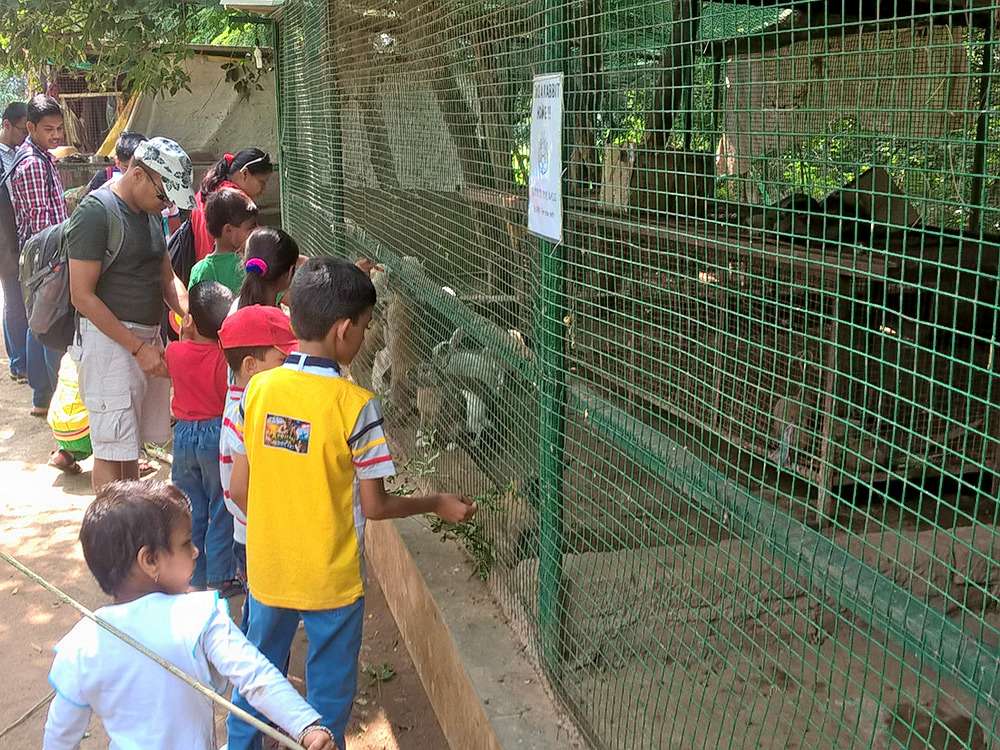 Day Out At The Hidden Oasis Image