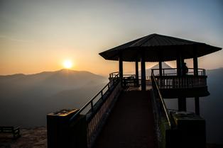 Ldgirqglzscchoi18501coe3syt9 shutterstock 1292277949