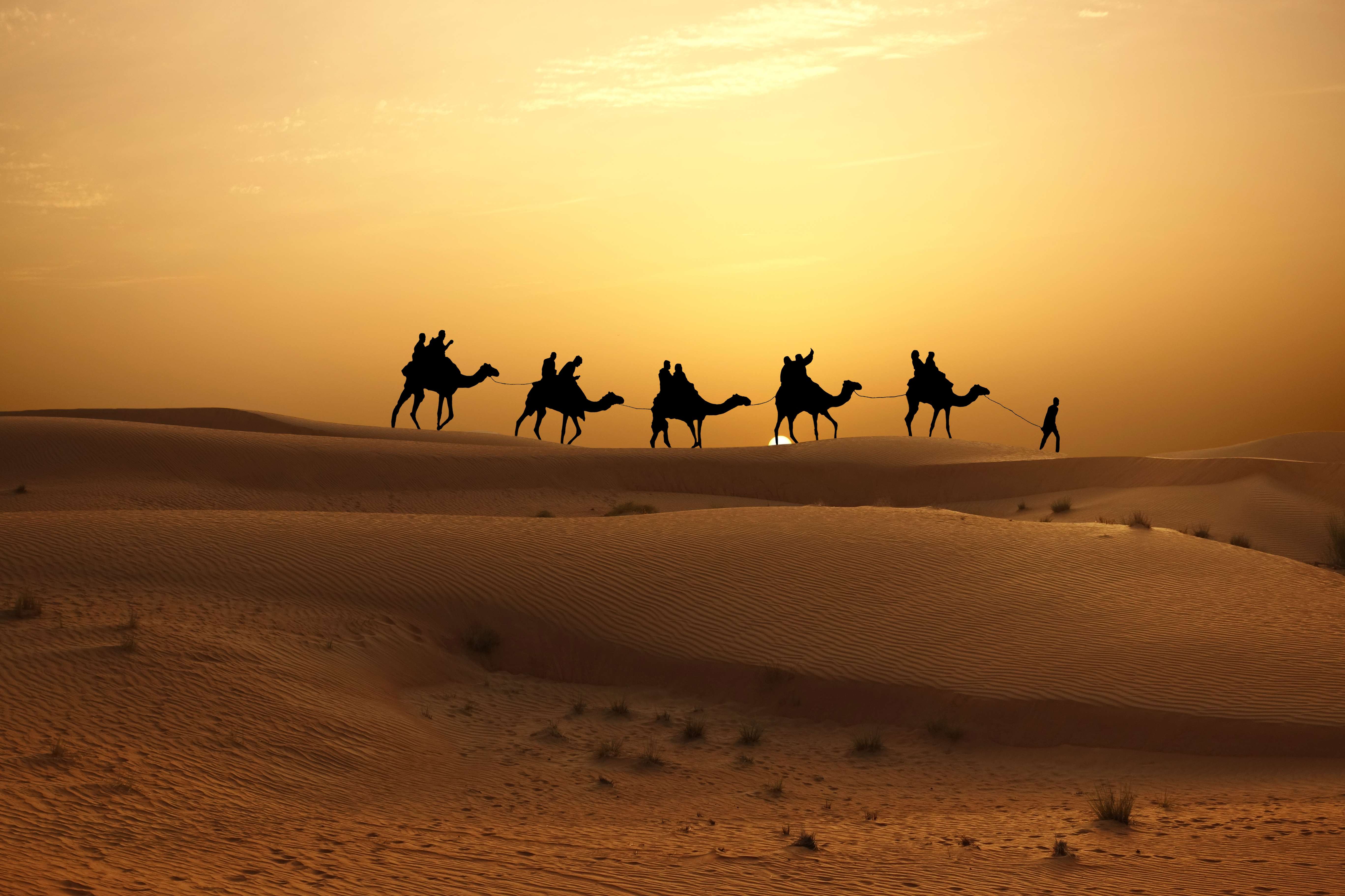 Experience a calming camel ride as the sun rises over the horizon