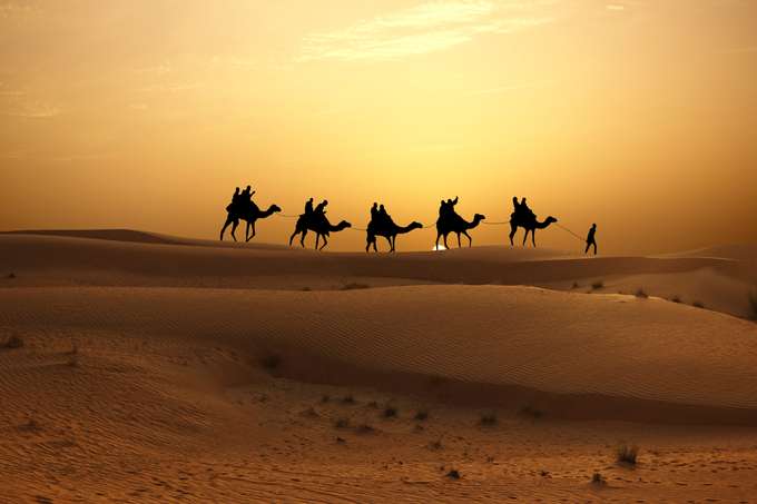 Experience a calming camel ride as the sun rises over the horizon