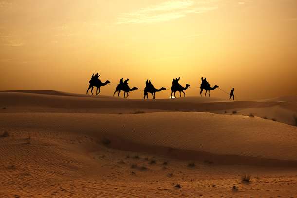 Experience a calming camel ride as the sun rises over the horizon