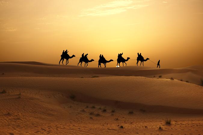 Experience a calming camel ride as the sun rises over the horizon