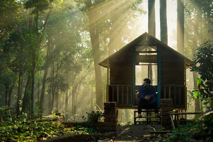 Escape into nature’s lap in Wayanad