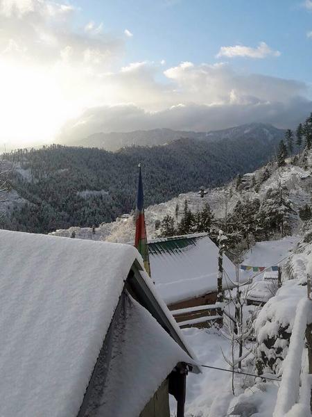 Mountain View Camping In Narkanda Image