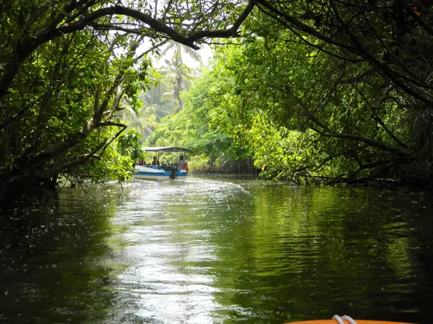 Lfrjwpglcgzf4luugizinkobt2w7 poovar gallery