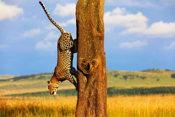 Lhngl5nvyyy11l0w00moxq6mvawk shutterstock 1757962580 1