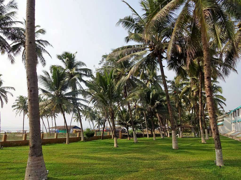 Longuinhos Beach Resort Image