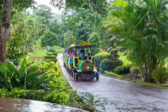 Vizag Araku Tour Package Image