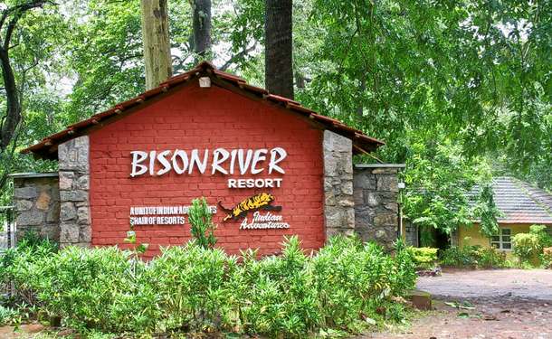 Lhykbr7u10esu59tnhzwzv1t9je1 1586525692 bison