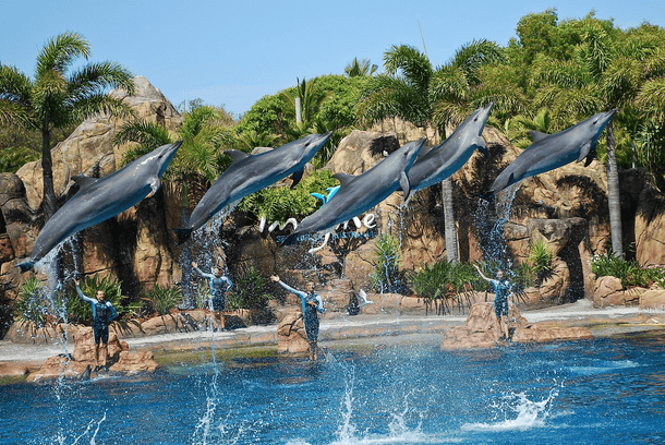 Li6ymdflca59lh4743klmbxqadfk image3