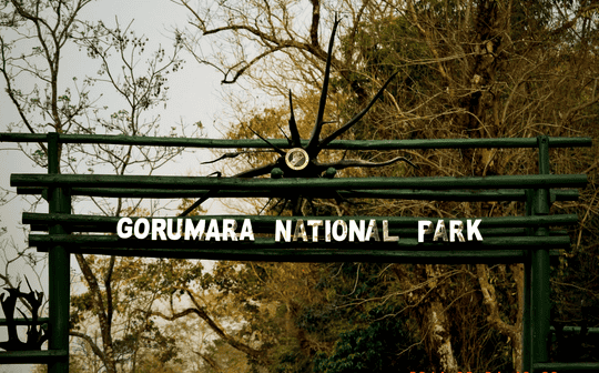 Gorumara Lataguri Tour Image