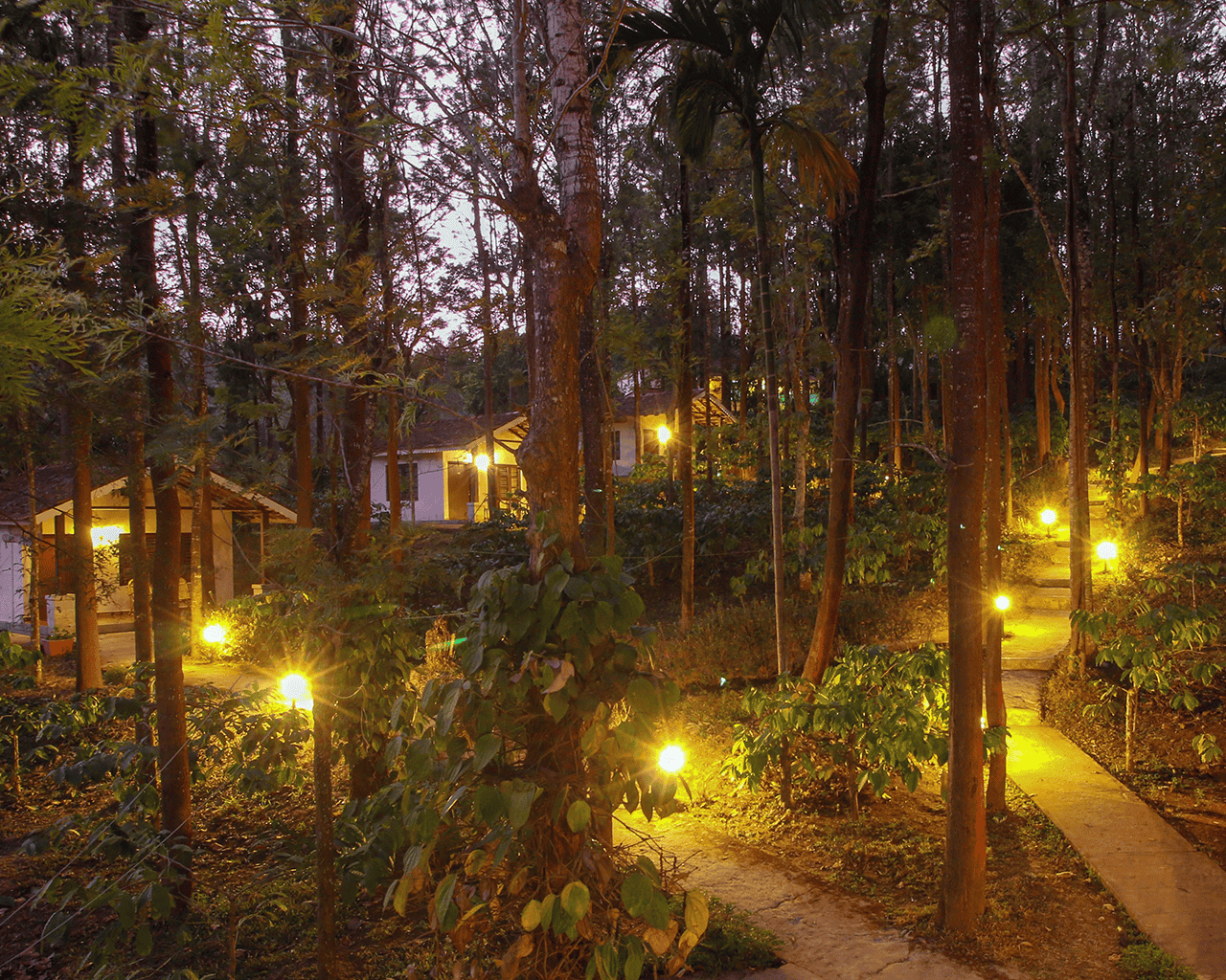 Windflower Resort Bandipur Image