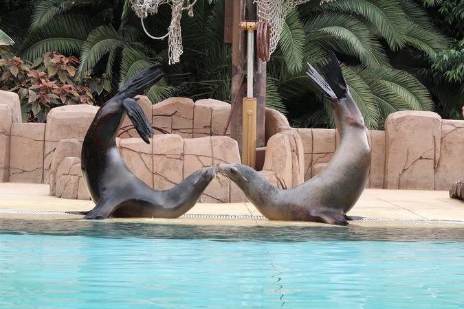 Las Aguilas Jungle Park